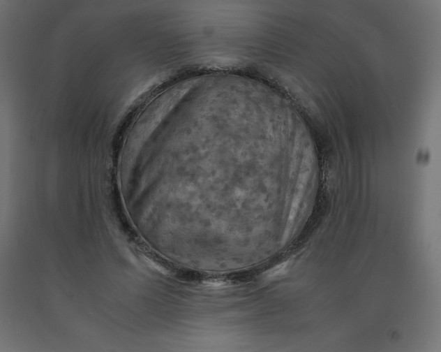 X0000092000591200709271510