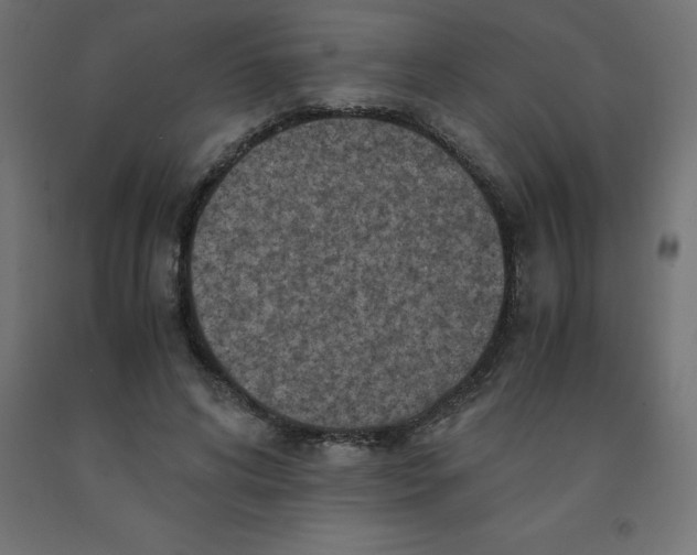 X0000092000592200709271510