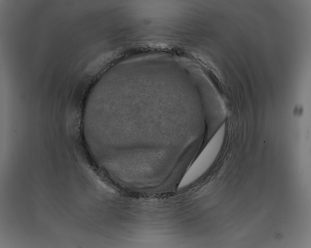 X0000092000593200709271510