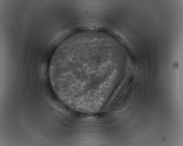 X0000092000594200709271510