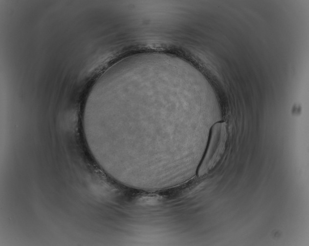 X0000092000595200709271510