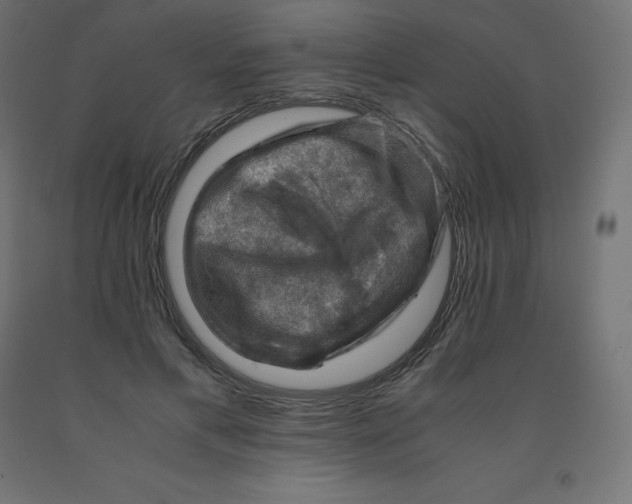 X0000092000597200709271510