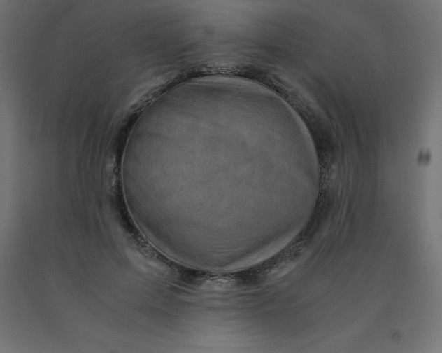 X0000092000599200709271510