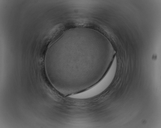 X0000092000601200709271510