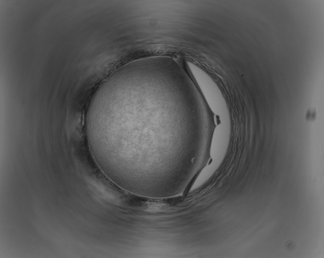 X0000092000605200709271510