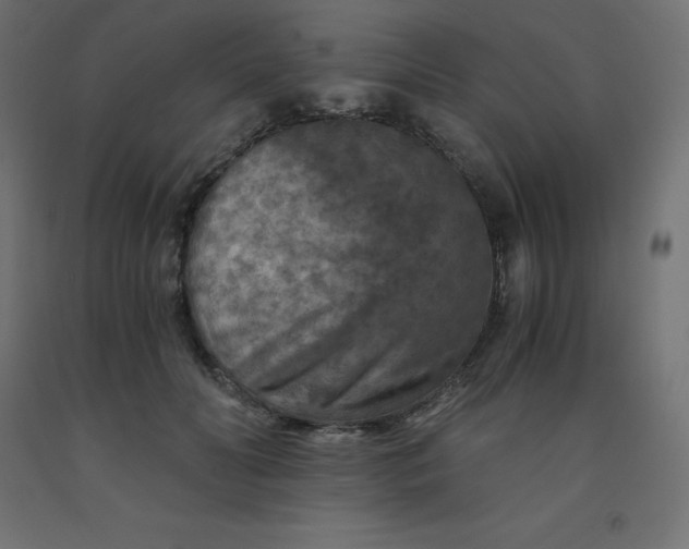 X0000092000606200709271510