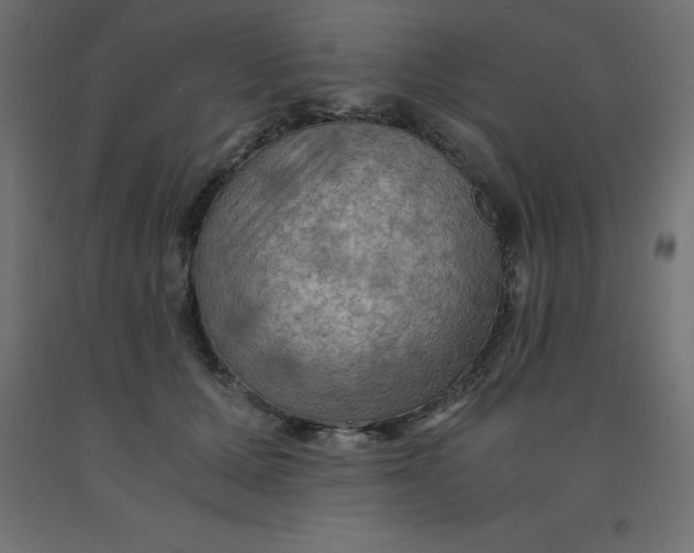 X0000092000607200709271510