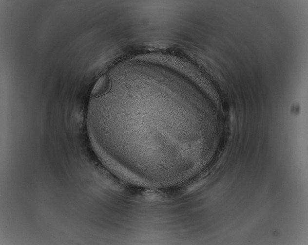 X0000092000608200709271510