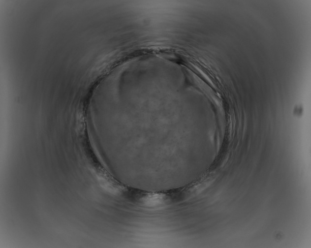 X0000092000609200709271510