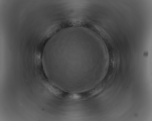 X0000092000610200709271510