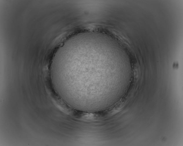 X0000092000611200709271510