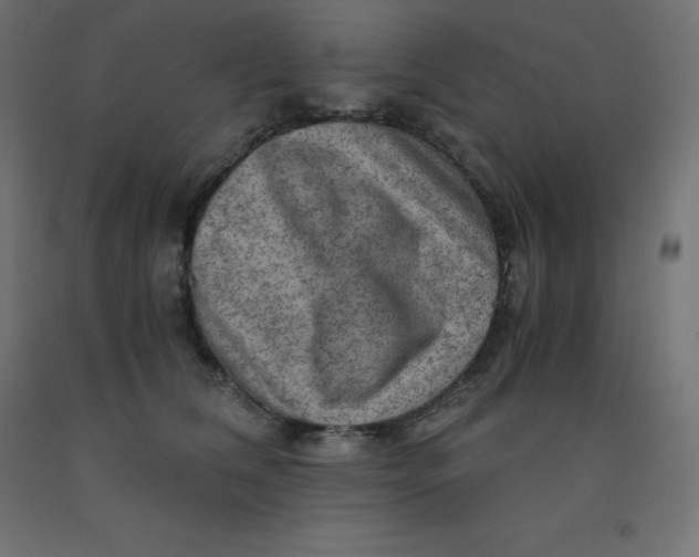 X0000092000612200709271510