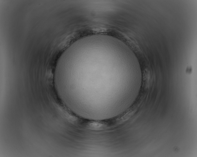 X0000092000614200709271509