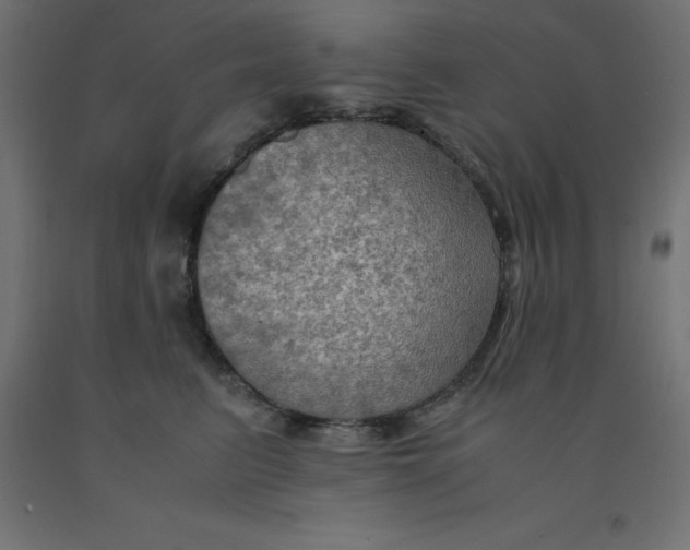 X0000092000615200709271509