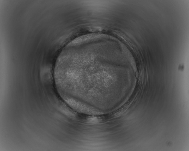 X0000092000616200709271509