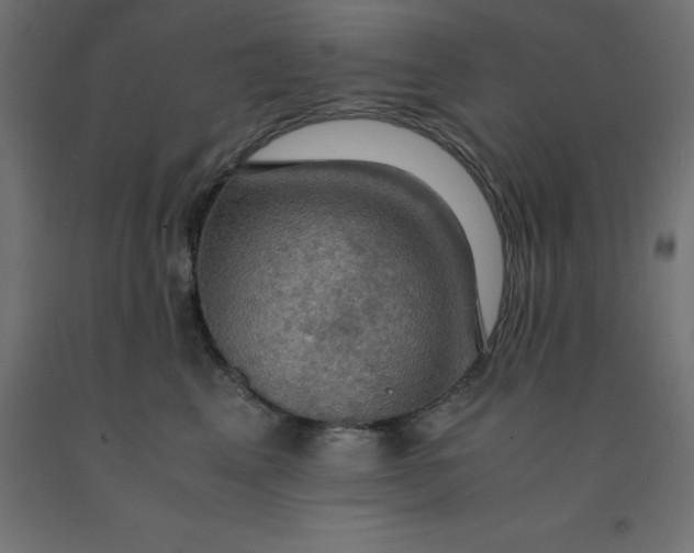 X0000092000617200709271509