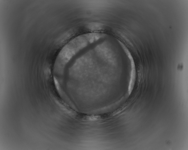 X0000092000618200709271509