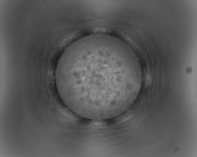 X0000092000619200709271509