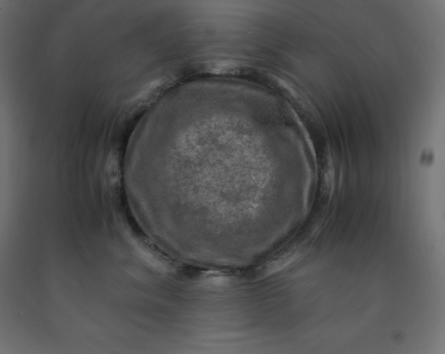 X0000092000620200709271509