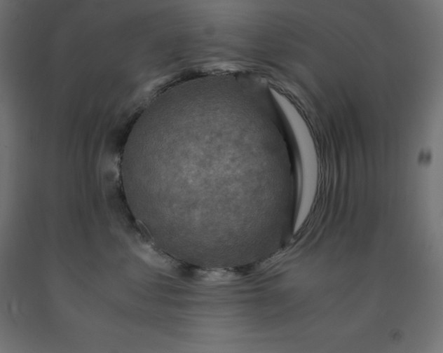 X0000092000621200709271509