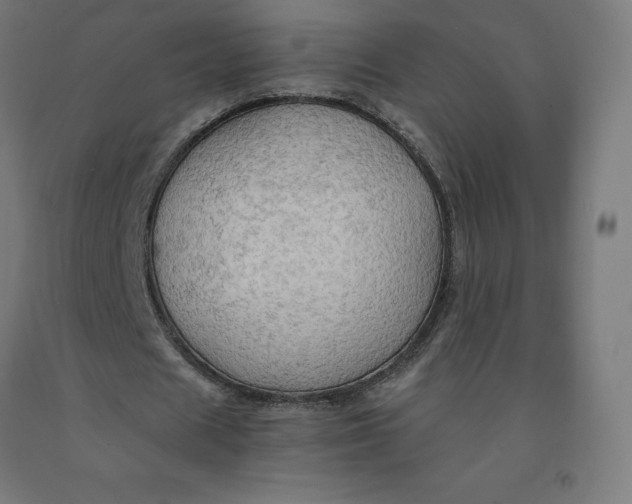 X0000092000625200709271509