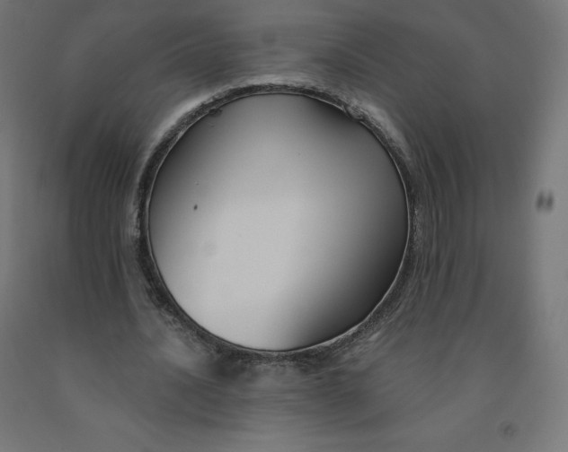 X0000092000628200709271509