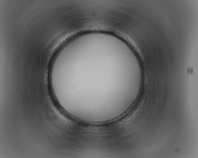 X0000092000629200709271509