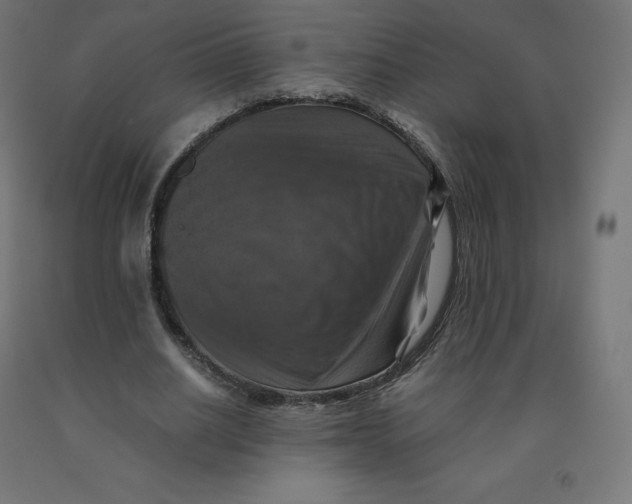 X0000092000630200709271509