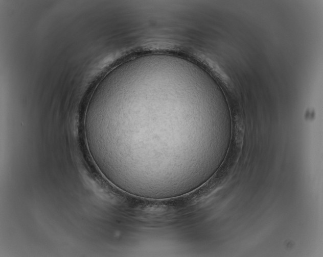 X0000092000631200709271509