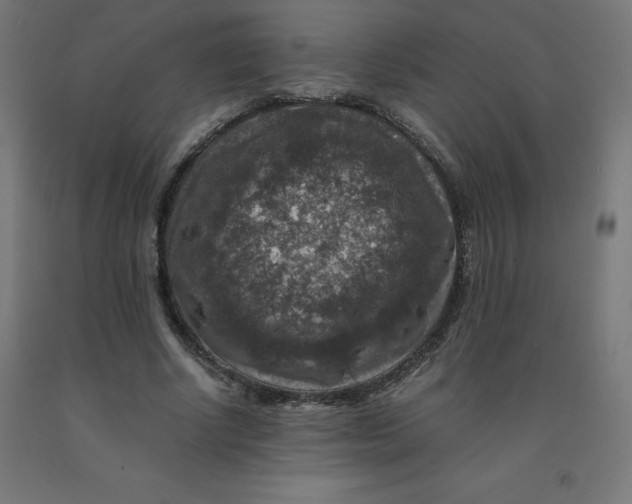 X0000092000634200709271509