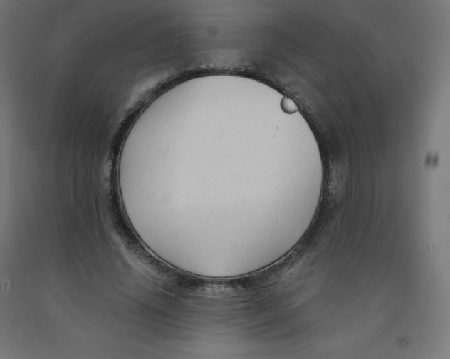 X0000092000636200709271509