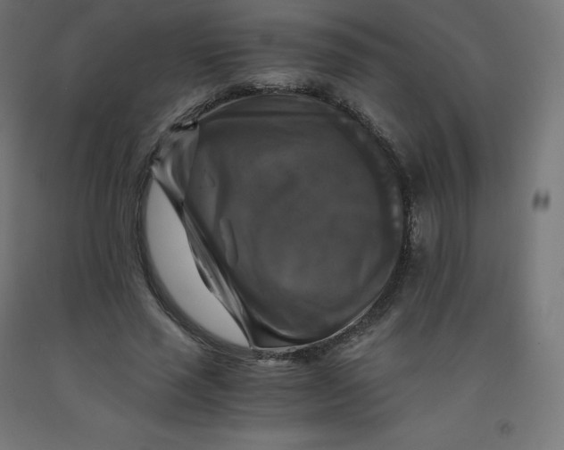 X0000092000637200709271509