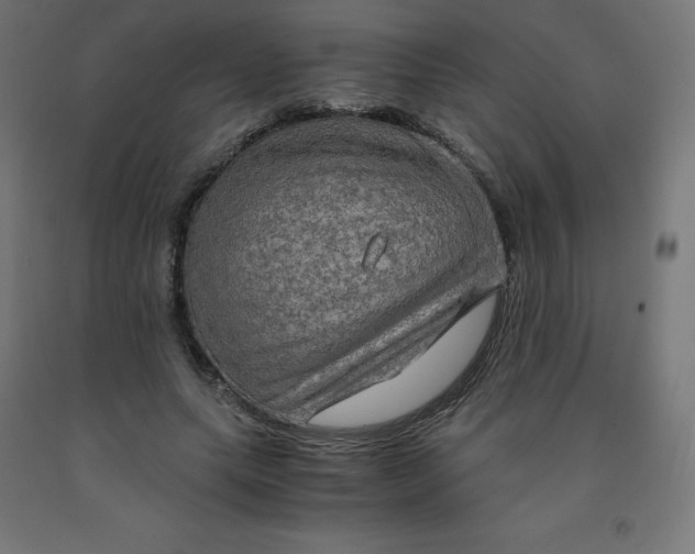 X0000092000639200709271509