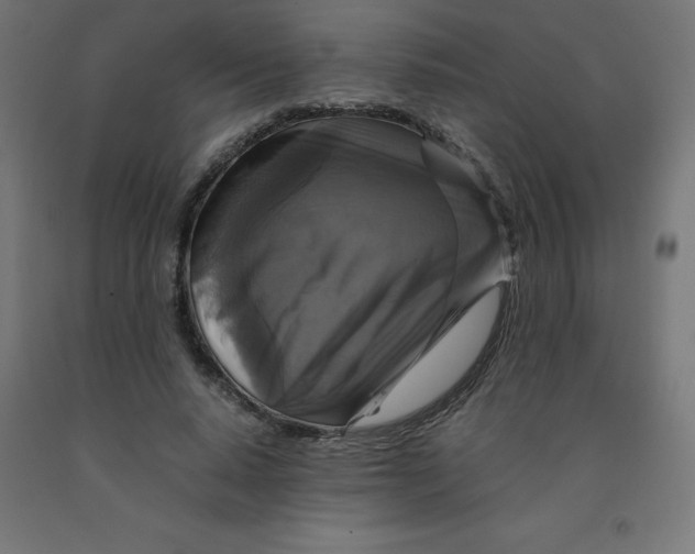 X0000092000640200709271509