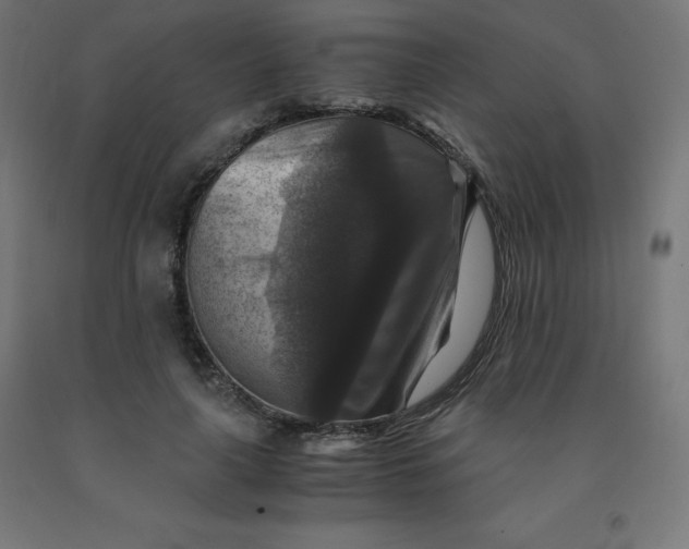 X0000092000643200709271509