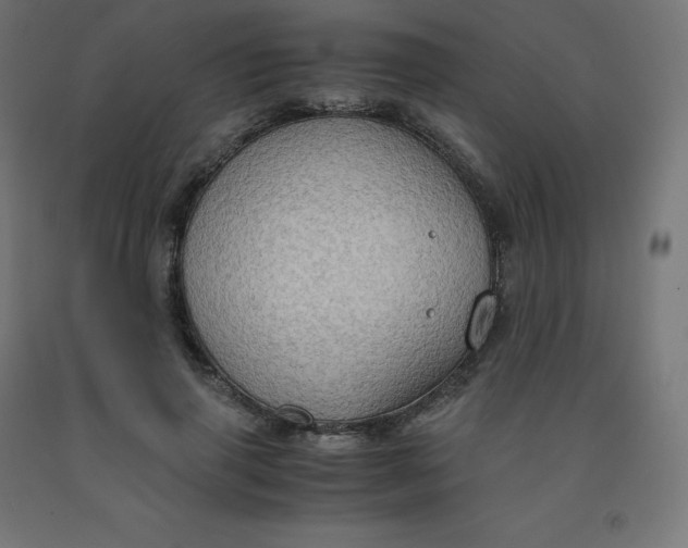 X0000092000645200709271509