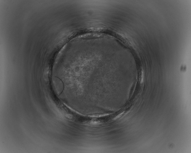 X0000092000647200709271509