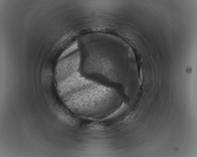 X0000092000648200709271509