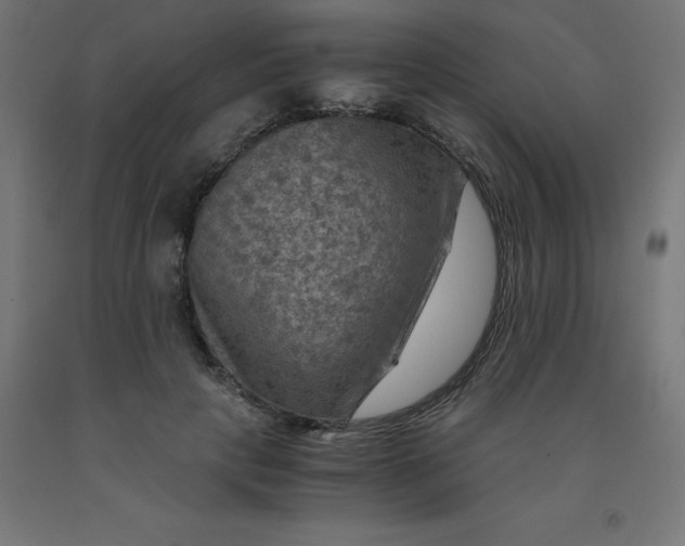 X0000092000649200709271509