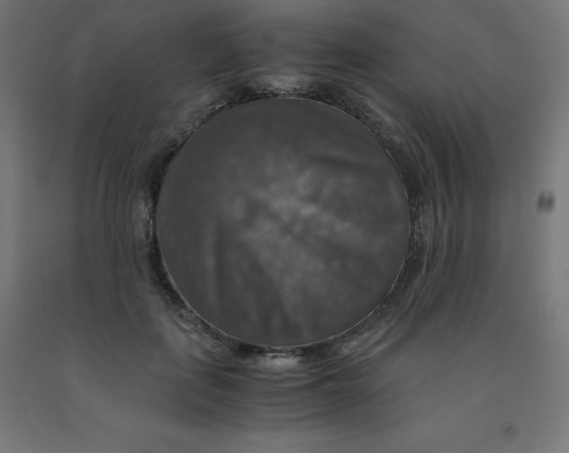 X0000092000651200709271509