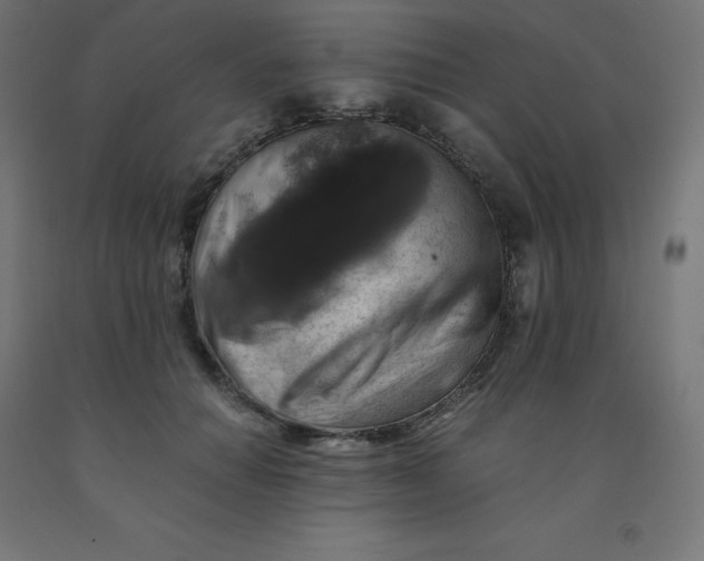 X0000092000654200709271509