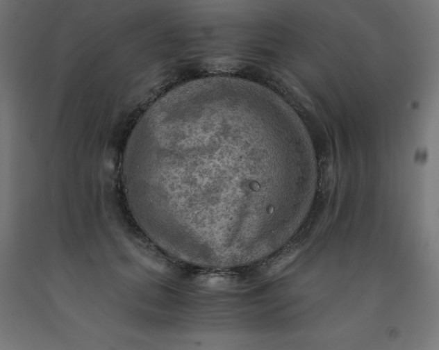 X0000092000655200709271509