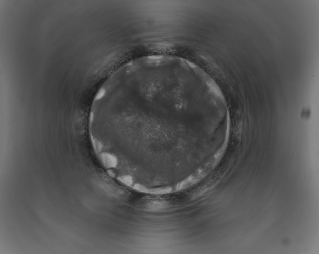 X0000092000658200709271509