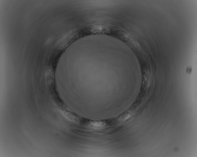 X0000092000659200709271509