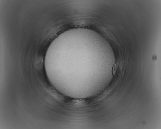 X0000092000660200709271509