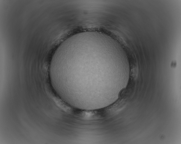 X0000092000662200709271509