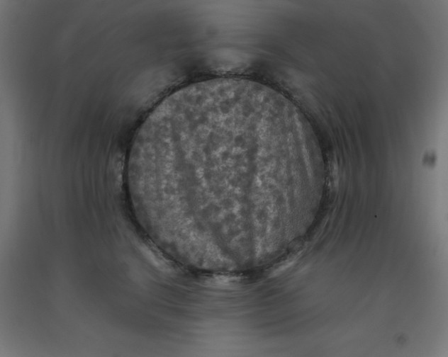 X0000092000664200709271509