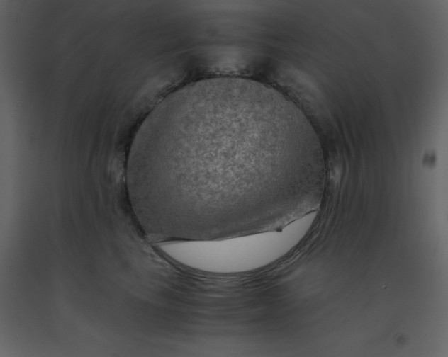 X0000092000665200709271509