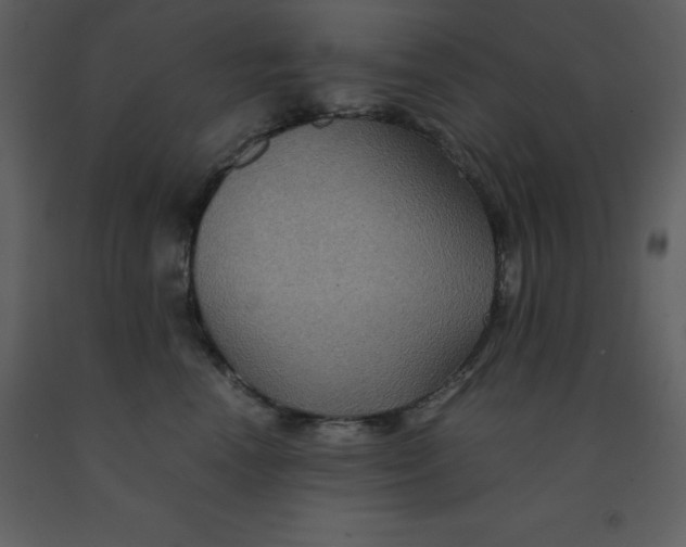 X0000092000666200709271509