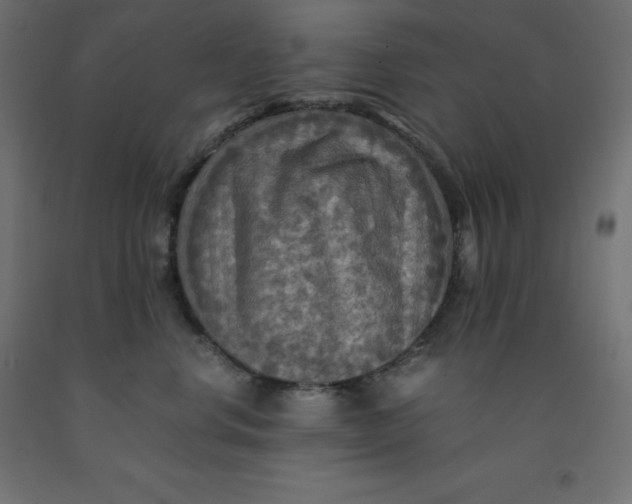 X0000092000668200709271509